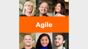 Values Agile